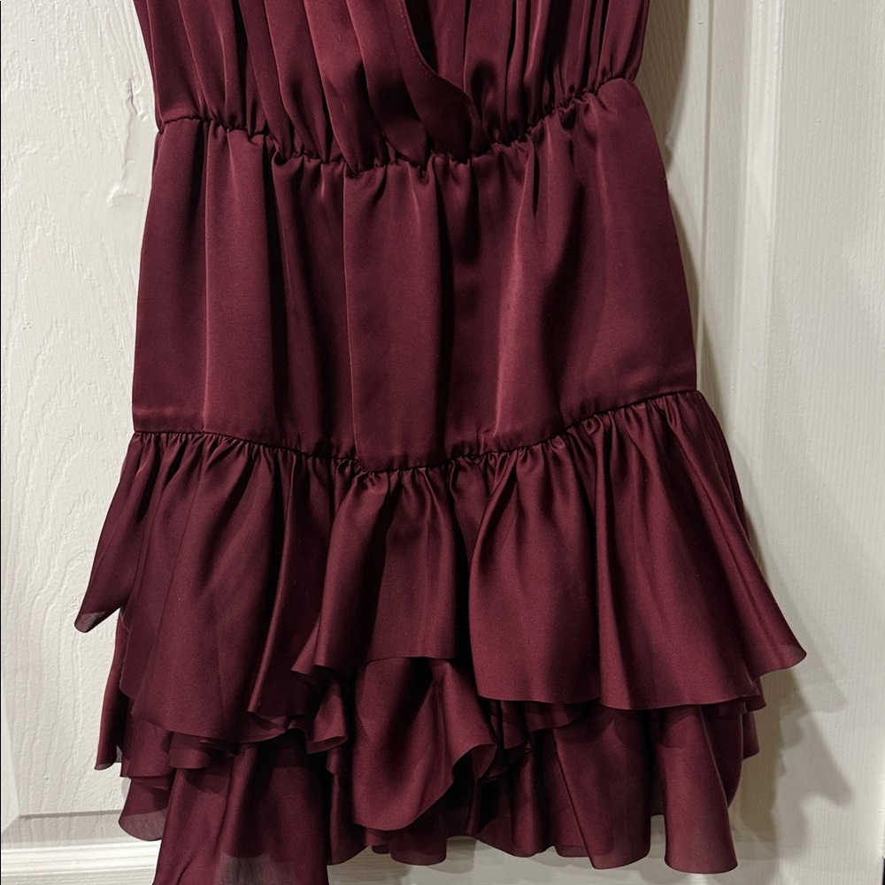 Designers  Remix Burgundy Mini Dress with Ruffles - Picture 3 of 3